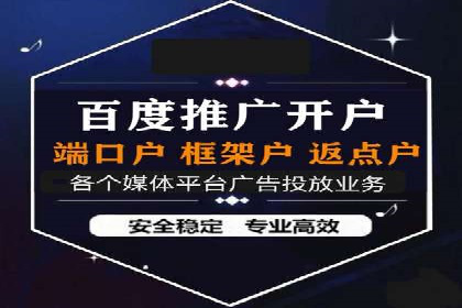行业领先的SEM竞价广告投放案例